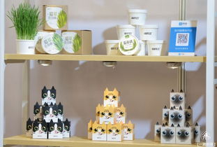 第四届苏州宠物展第二天概况,明天最后一天,还有这些礼品